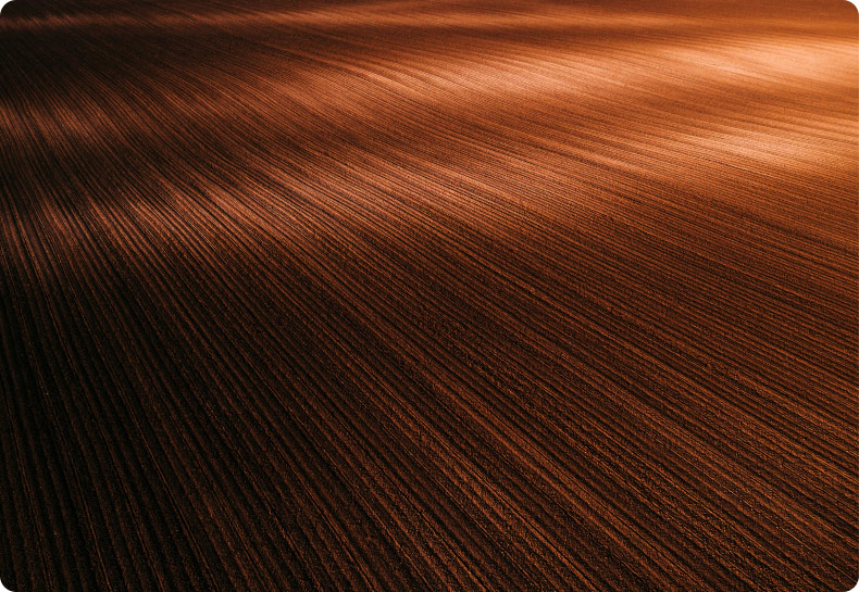 Solid Waste Management